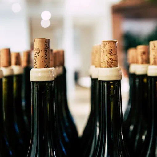 Vino